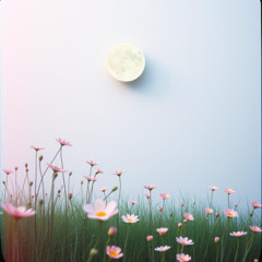 Beautiful Daydreams