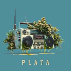 Plata (Original Mix)