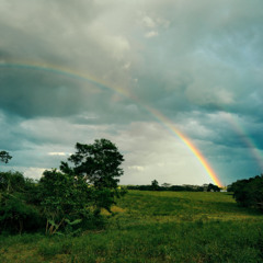 feel for rain