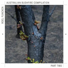 Roel.Funcken.Australian.Bushfire.Compilation.part2.mix