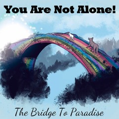 You ARE Not Alone