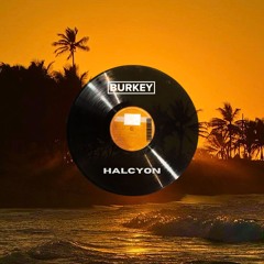 Burkey (IE) - Halcyon