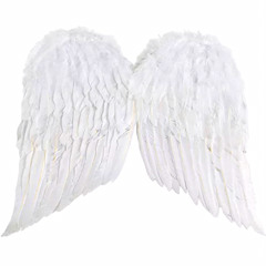 angel wings (oyasumi + tommet)