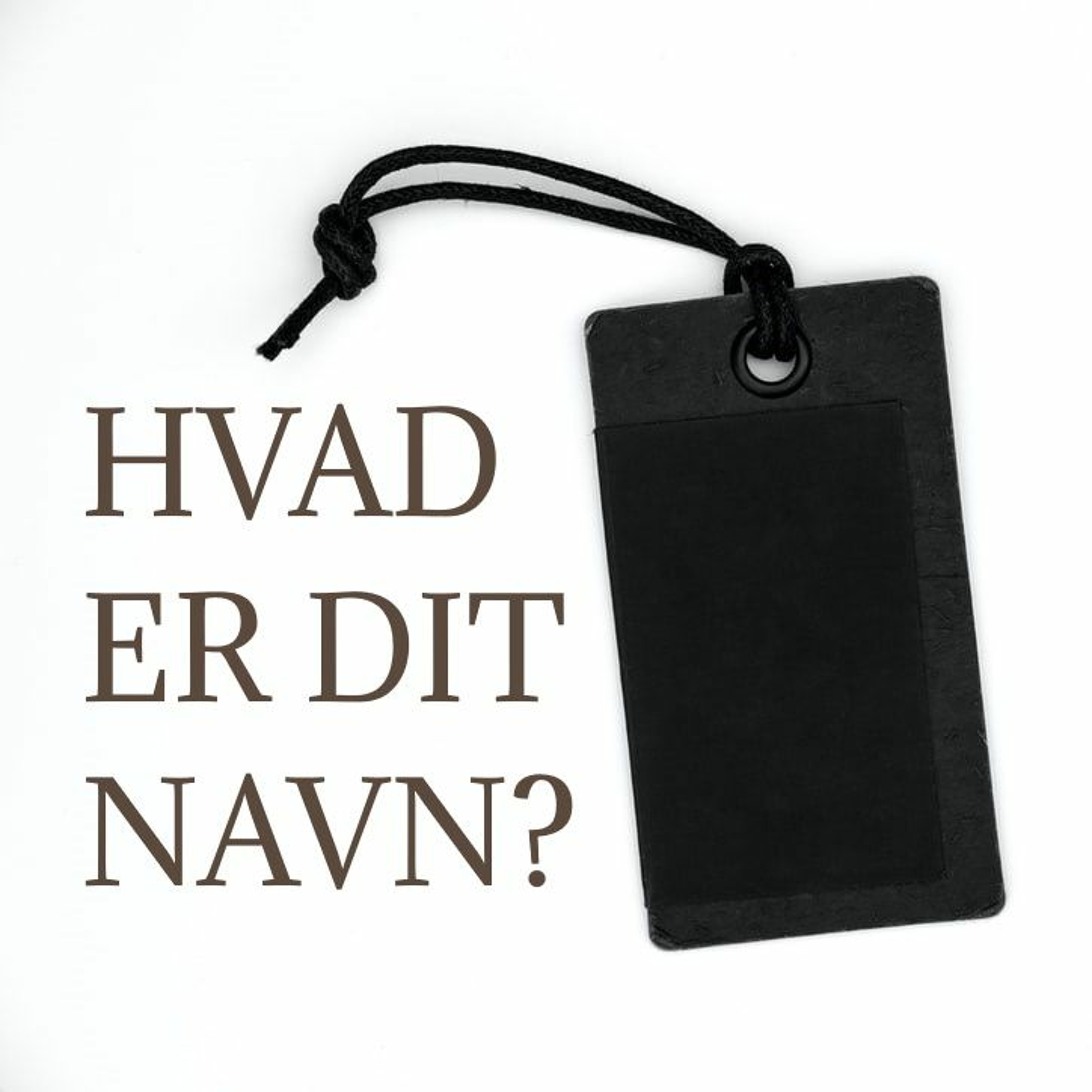 Hvad er dit navn?