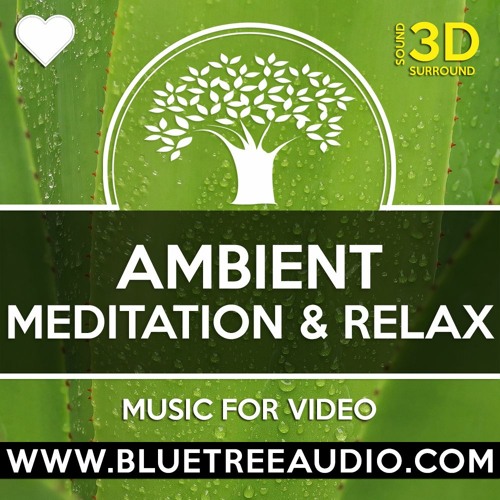 råd jazz Tentacle Listen to Meditation In Nature - Royalty Free Background Music for YouTube  Videos Vlog | Relax Yoga Calm Chill by Background Music for Videos in Best  Background Music for Videos - MEDITATION