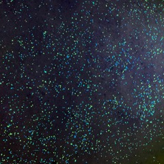 Eternal Sunshine (demo)