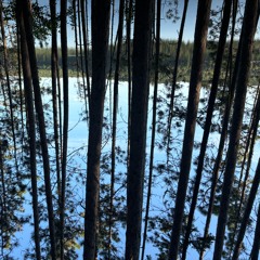 Jamn 25 2 - Lake Soho, Settling