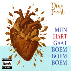 MijnHartGaatBoemBoemBoem