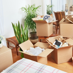 What Are The Unwritten Rules For A Smooth Move?