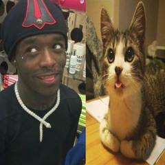 Scrape The Ground (Bugz) Ruff