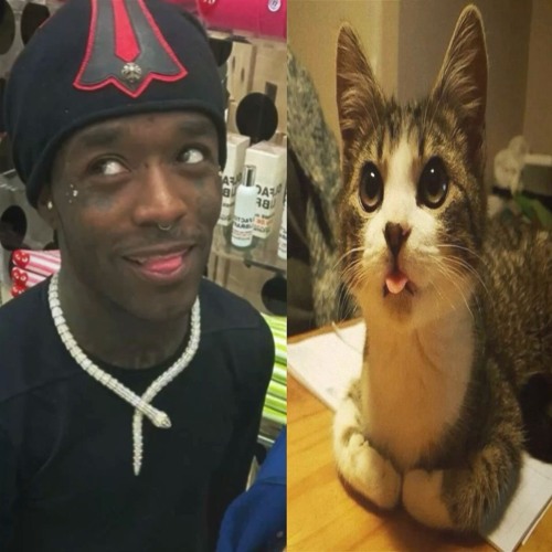 Scrape The Ground (Bugz) Ruff