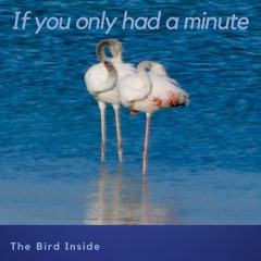 If You Only Had A Minute