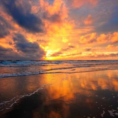 Petit Biscuit - Sunset Lover (Official Video)