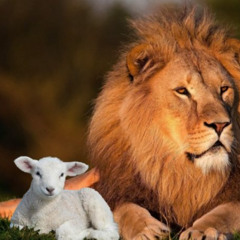 2025 - S53 - Diciembre 31 - Apocalipsis 22