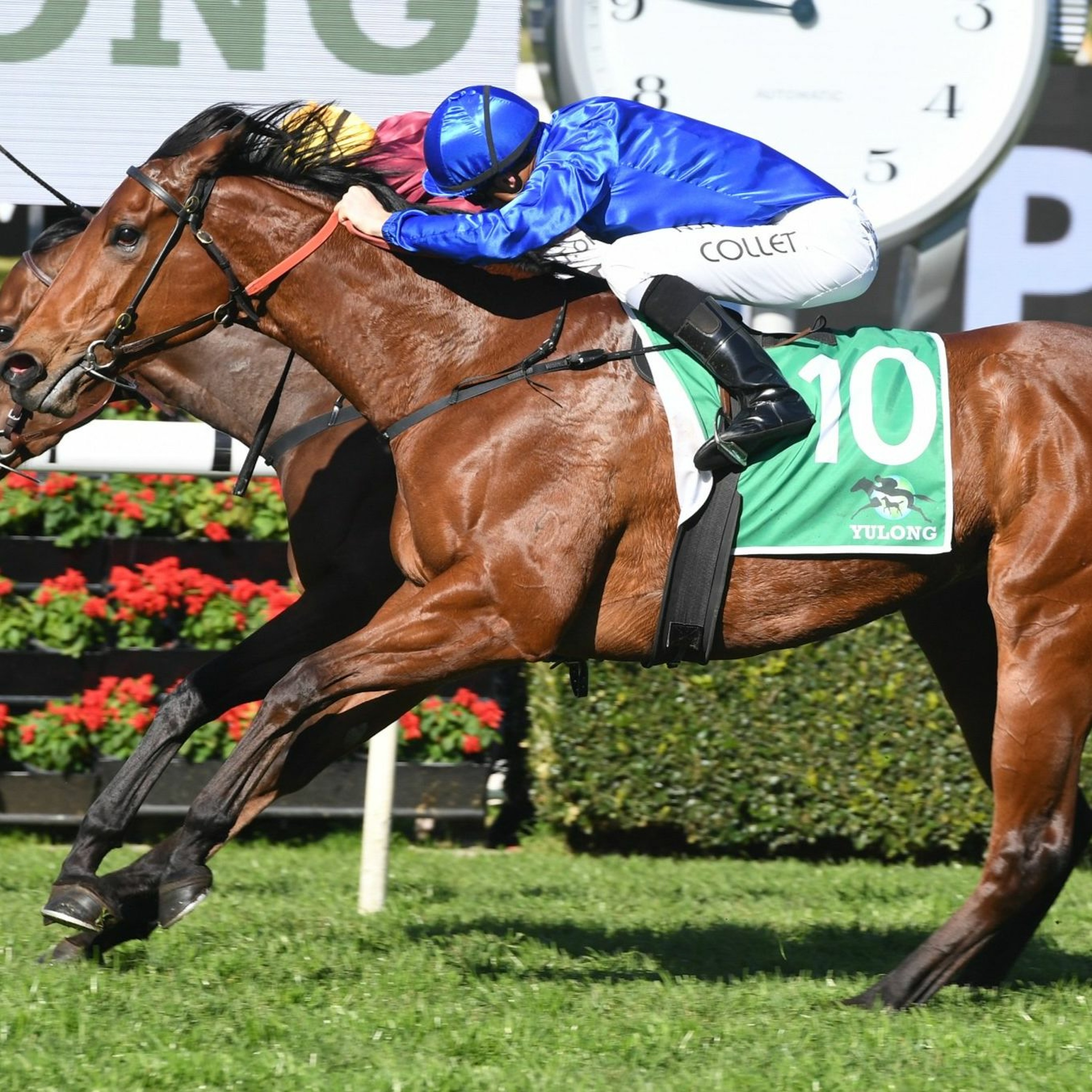 Villiers Stakes Day Punting Preview