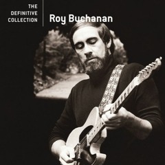 Roy Buchanan - You Can't Judge A Book By A Cover (Electro Blues Rock House Rmx)