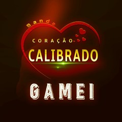 GAMEI - Banda Coracao Calibrado