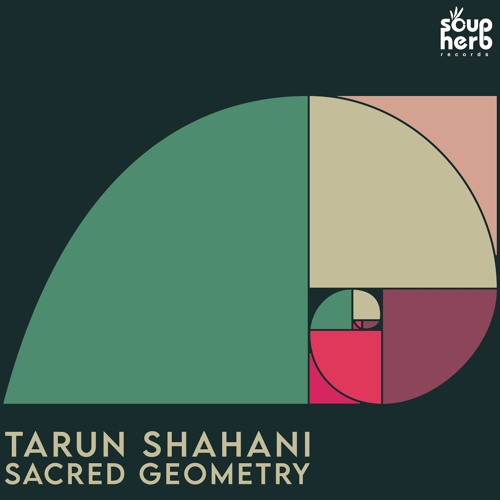 [SNIPPET]_Tarun_Shahani_-_Dance_Like_Nobody's_Washing_(_Original_Mix_)