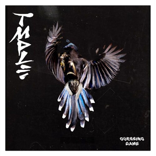 TMPLE - Guessing Game