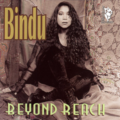 Stream Bindu | Listen to Snap to It playlist online for free