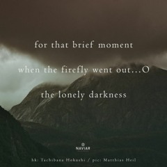For That Brief Moment ( Naviarhaiku 390 )