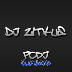 DJ Zitkus - Bad Bhoy