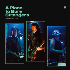 Stream aplacetoburystrangers music | Listen to songs, albums