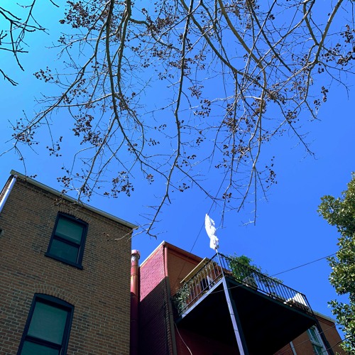 wavedash - shi(f)t (superbloom remix) (demo)