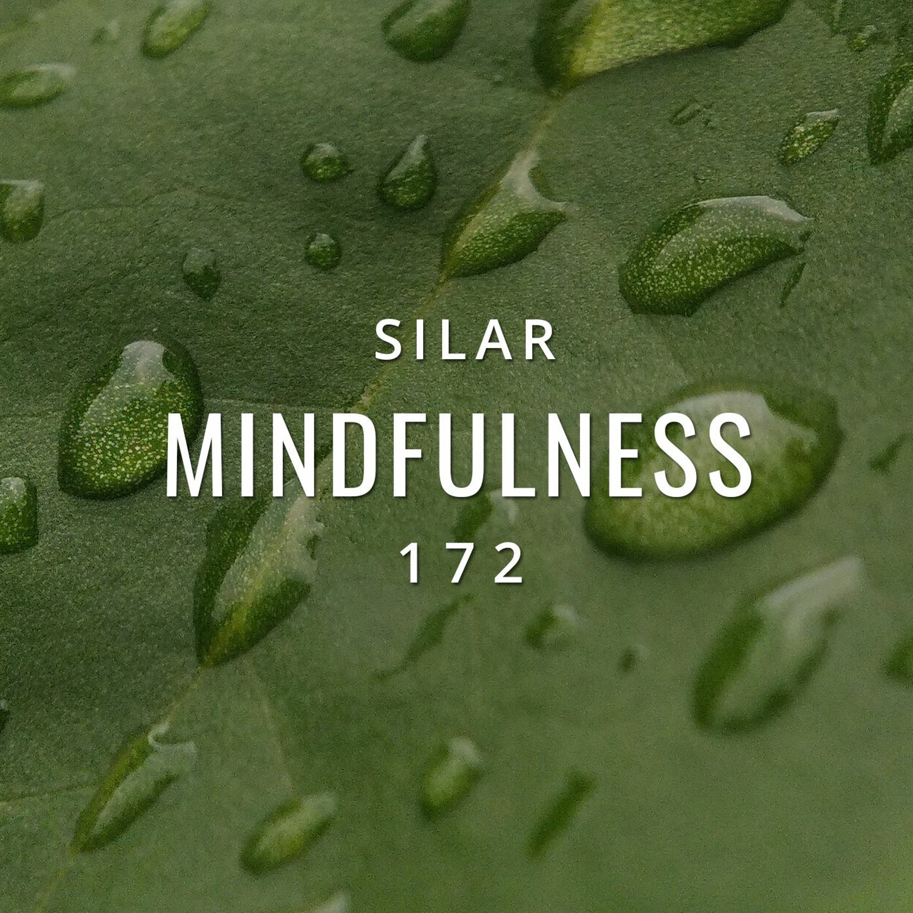 Mindfulness