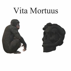 Vita Mortuus