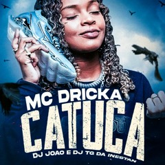 MC DRICKA - CATUCA ( DJ JOAO DA INESTAN - DJ TG DA INESTAN ) #FUNKDEBH