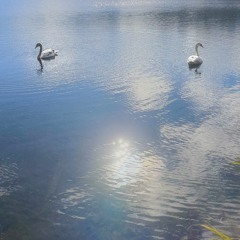 snow marshall_20251218