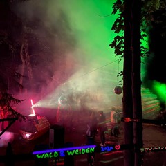 Wald&Weiden2020 - Φlipp - Waldflor