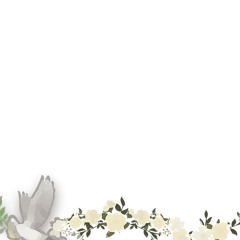 archangel kit 🕊️
