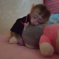 pretty when you cry ldr - MJMB