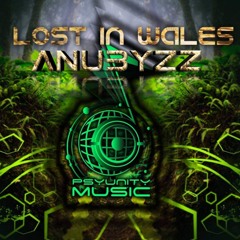Anubyzz - Lost in Wales [DjSetJuly2020]