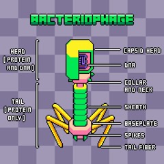response to [sɑˈkɛ] // send to Uli Feiertag +  Torgstone // bacteriophage
