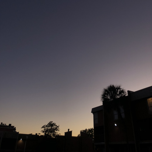 haddy gym motivation(225 bench)