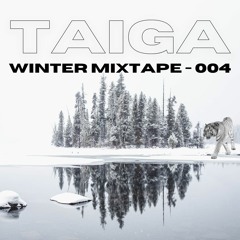 TAIGA - Winter Mixtape 004