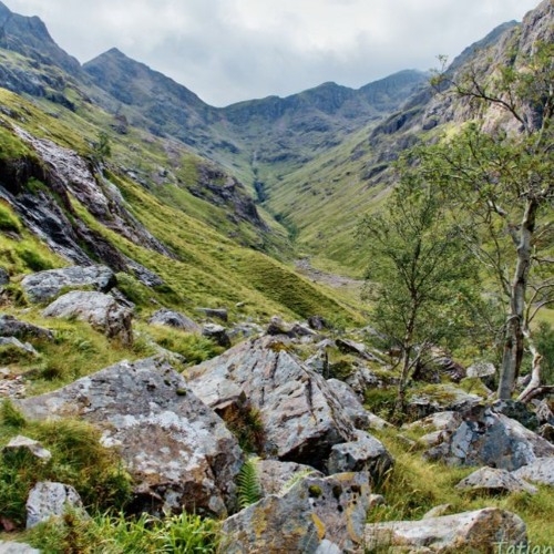 Speedscoring: Exploring the Valleys
