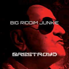 BIG RIDDIM JUNKIE (FREE DOWNLOAD)