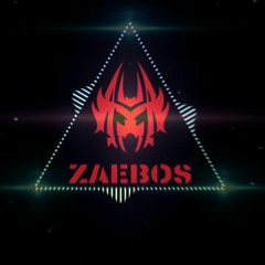 MXSAMERE #1 - Zaebos