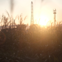 November Light / feat.符色