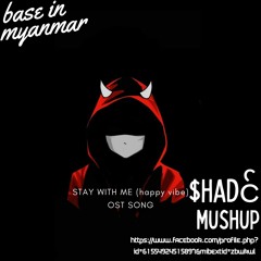 Stay With Me OST song (happy vina drop) (Shade mashup)