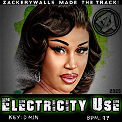 Electricity Use