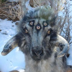 Yévame a tu kasa kiero haserte muher