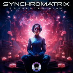 01 - Syncromatrix, Effectrix - Internal Motivation