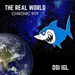 Chronic 909 - The real world (Master).wav