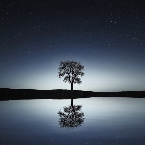 Tranquil Times