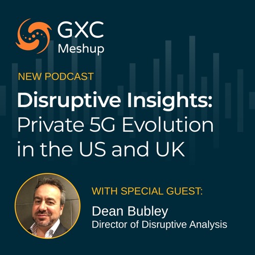 Episode 017 | Disruptive Insights: Private 5G Evolution in the US and UK